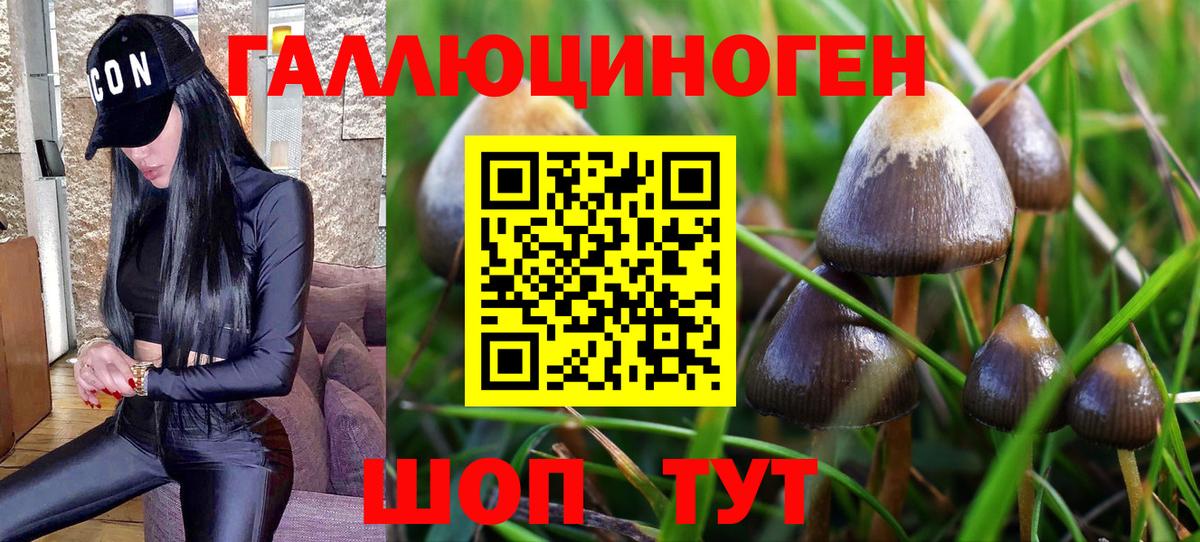 Псилоцибиновые грибы Magic Shrooms Урай