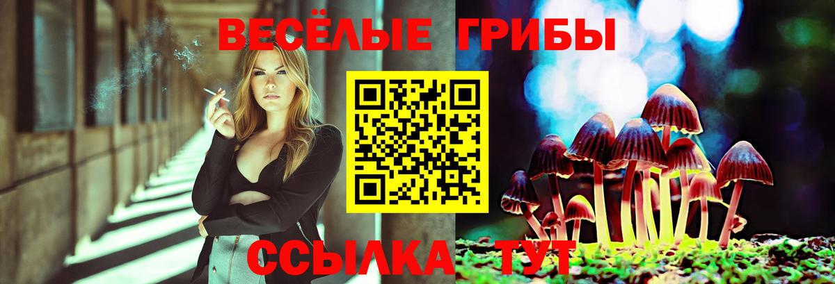 Галлюциногенные грибы Psilocybe  хочу   Урай  Вход с VPN 